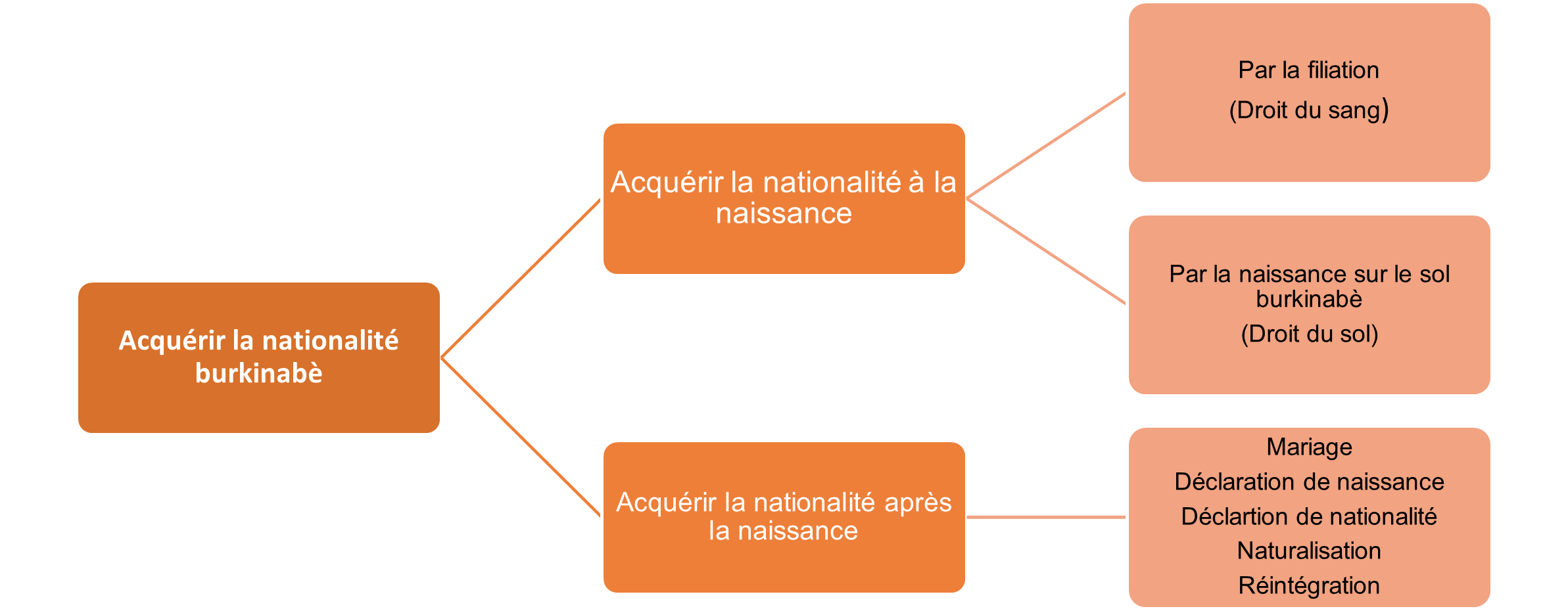 Image1.png